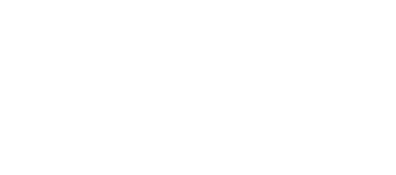 See Spot Run | Chicago