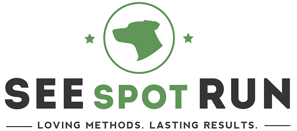 See Spot Run Kennel in Chicago
